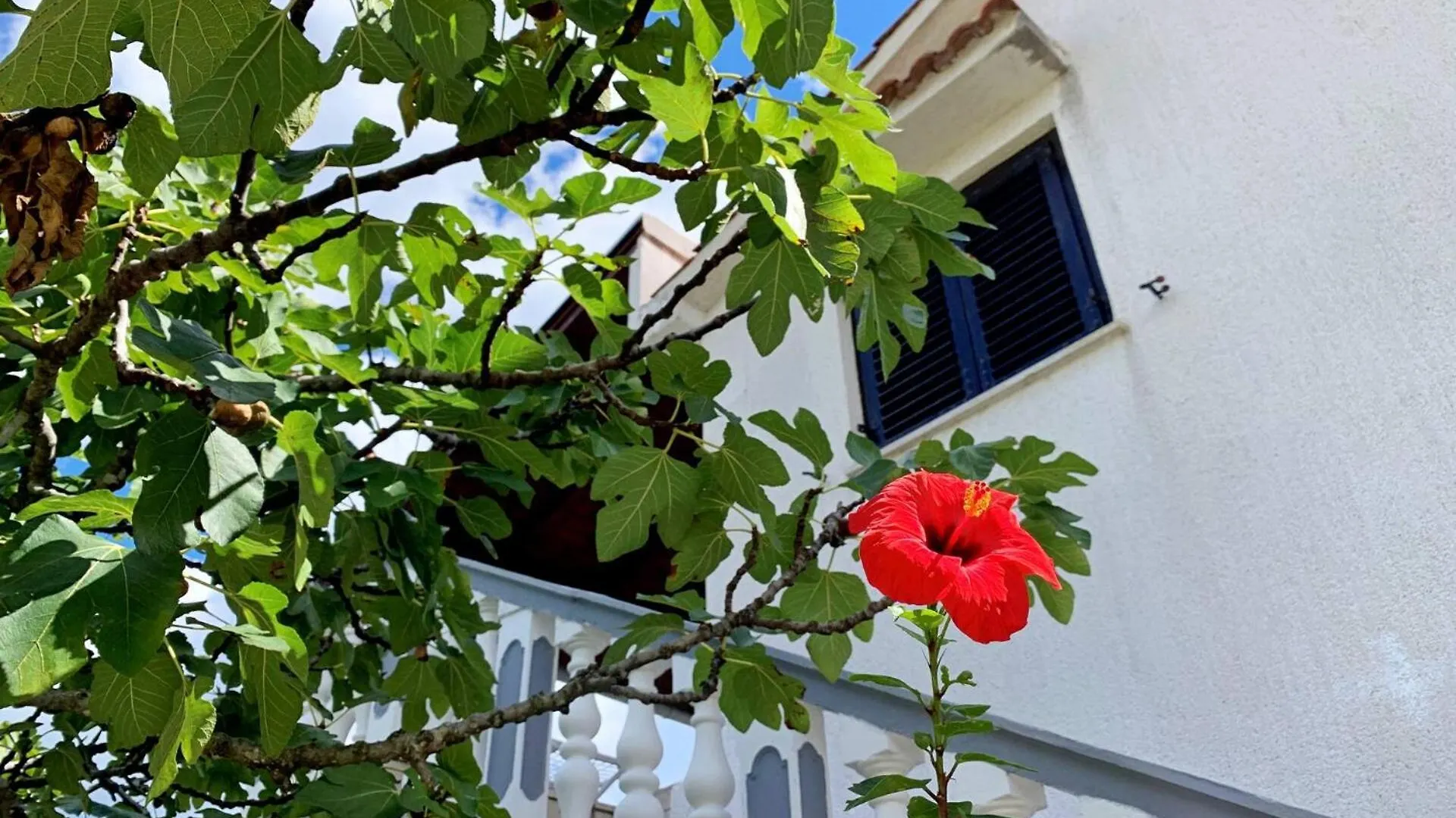 Guest house Apartments Horvat Silo